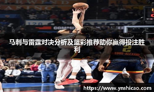 智博19有限公司