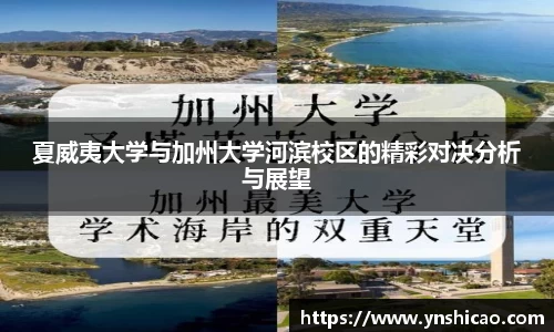 智博19有限公司