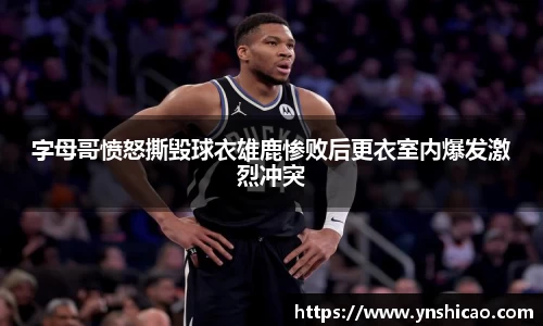 智博19有限公司